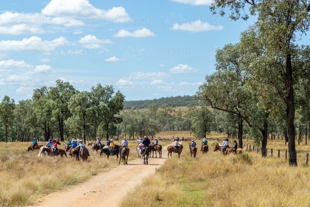 Image of A large group of horse riders about to join a cattle drive ...