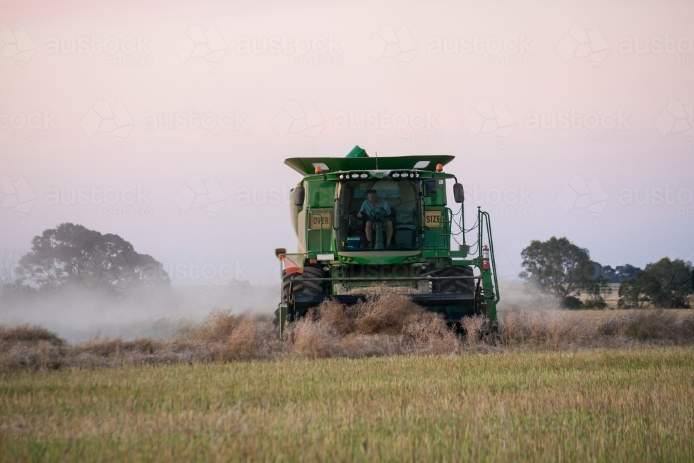 A large harvester operating in a paddock at twilight - Australian Stock Image