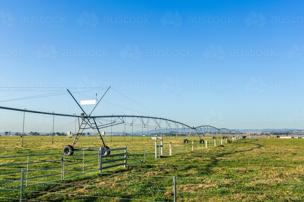 A large irrigation sprinkler in farm paddock on a bright sunlit morning - Australian Stock Image