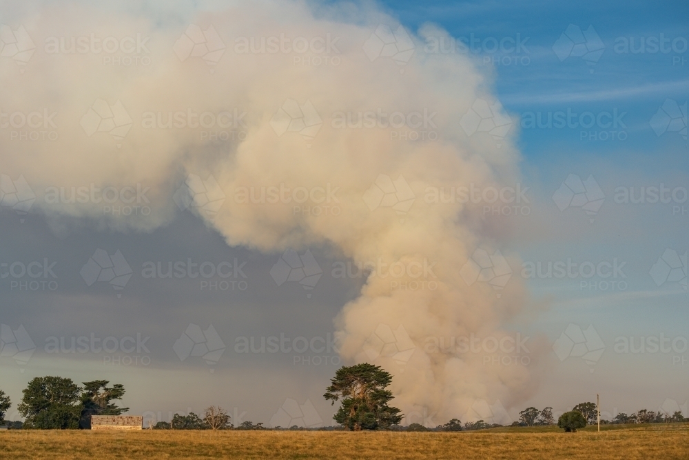 A large plume of smoke rising from a bushfire and drifting sideways - Australian Stock Image