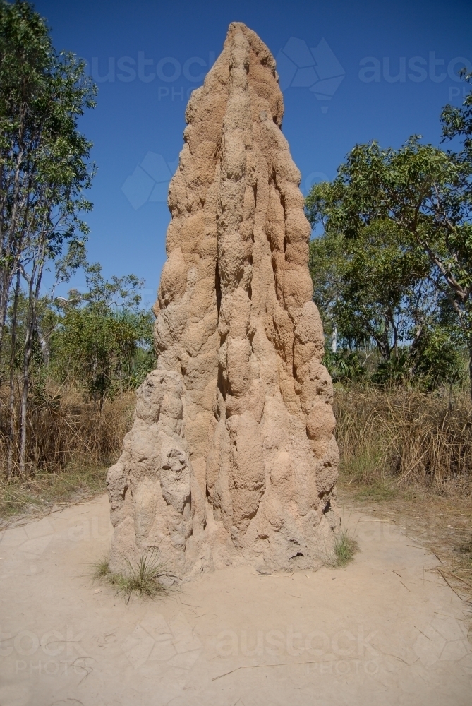 A large termite mound in the desert - Australian Stock Image