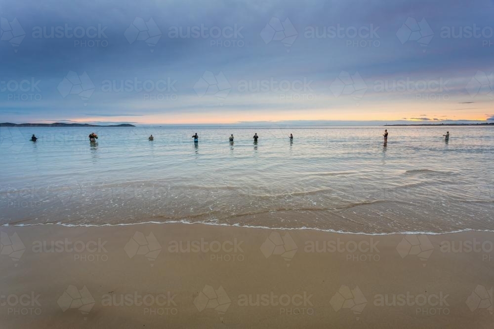 A line of fishermen wast deep in the sea at sunset. - Australian Stock Image