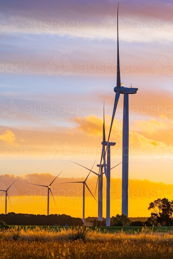 Image of A line of wind turbine silhouetted against a golden sunset sky ...