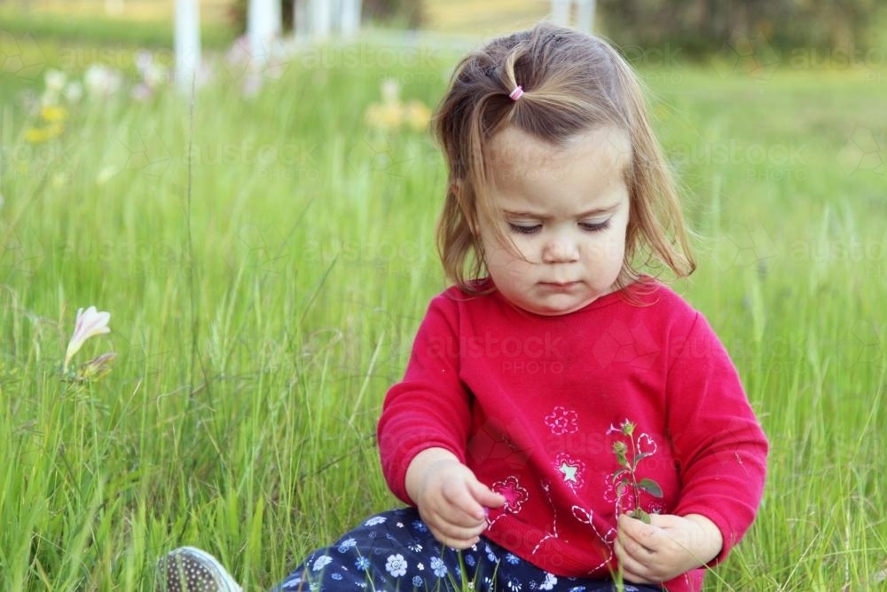 A little girl sitting in the grass picking flowers - Australian Stock Image