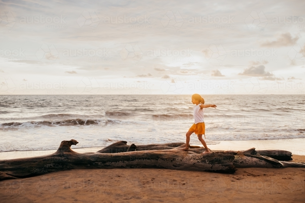 A little girl walking on a tree trunk at the beach - Australian Stock Image