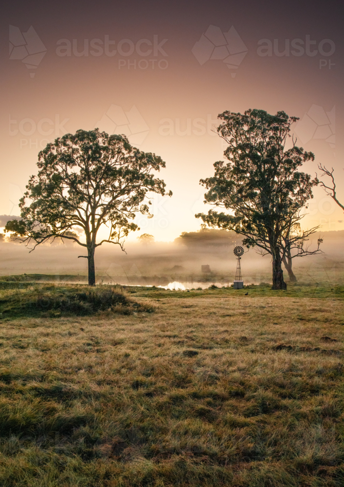 A little windmill between two gum trees by a dam underneath a sunrise sky - Australian Stock Image