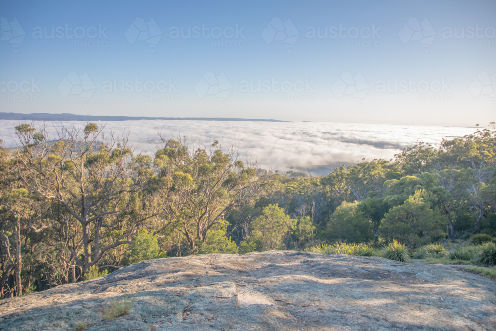A lookout scene over a granite rock, tree tops and a misty morning - Australian Stock Image