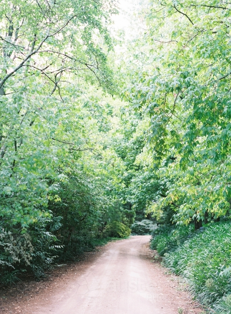 A Lush and Green Peaceful Countryside - Australian Stock Image