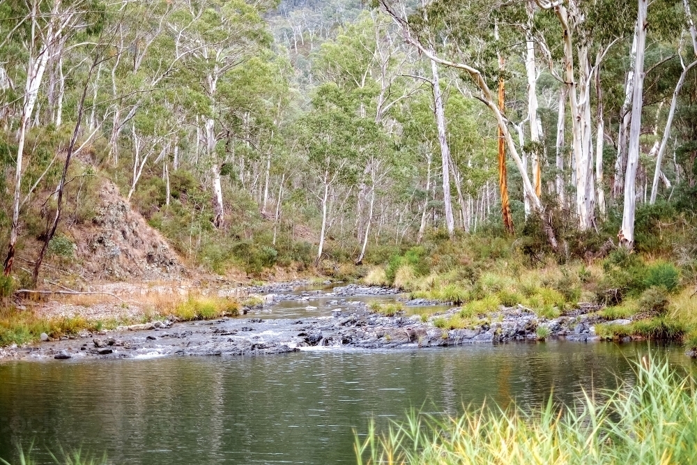 a lush valley full of grass and trees, with a quiet stream - Australian Stock Image