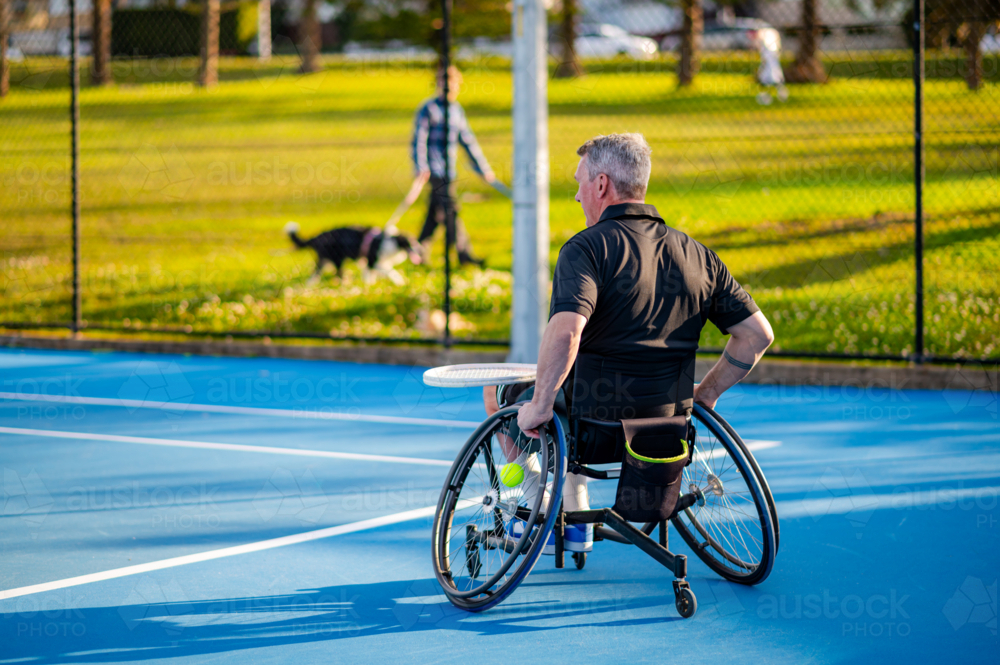 A man in a wheelchair practices tennis on a blue court with a dog nearby. - Australian Stock Image