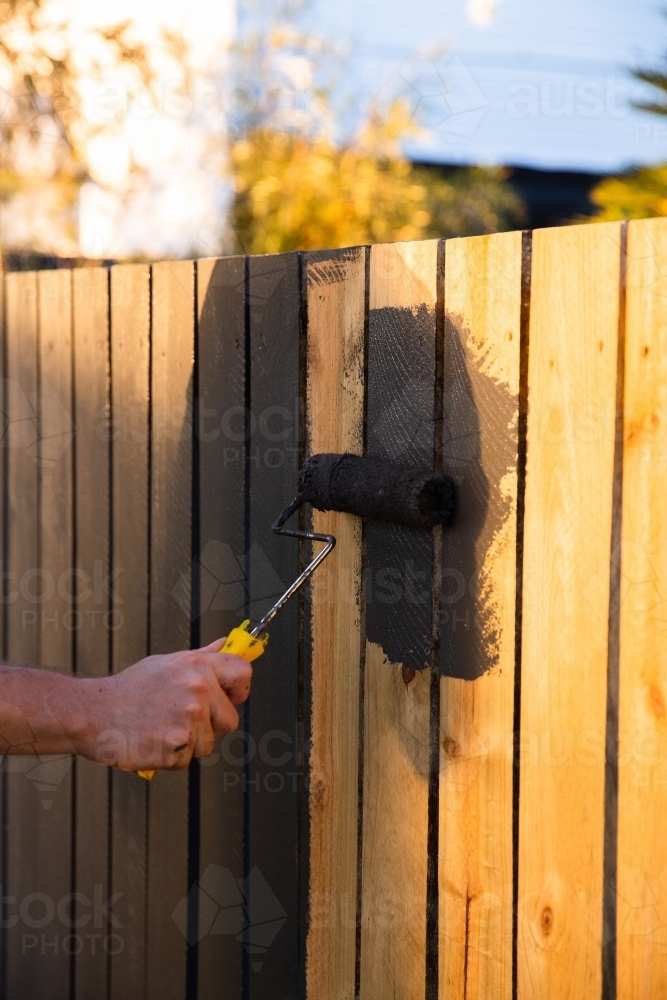 A man painting the wooden fence with dark paint - Australian Stock Image
