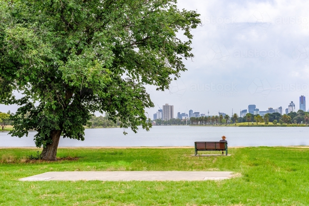 A man sitting next to big tree in the park looking at big city - Australian Stock Image