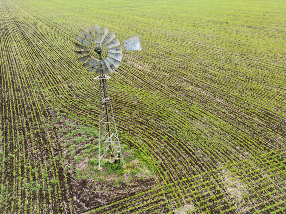 A metal windmill sitting on an agricultural field with rows of growing plants - Australian Stock Image