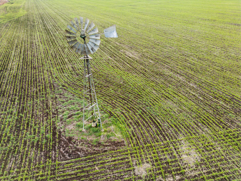 A metal windmill sitting on an agricultural field with rows of growing plants - Australian Stock Image
