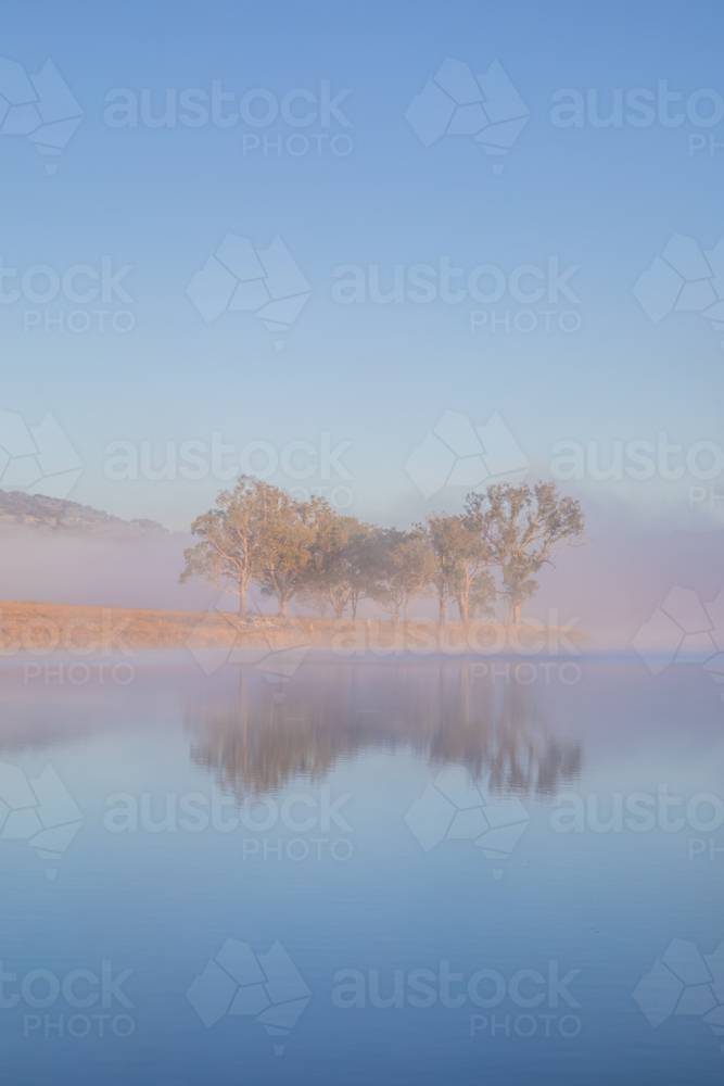 A misty blue sky morning and a reflection of trees on a country dam - Australian Stock Image