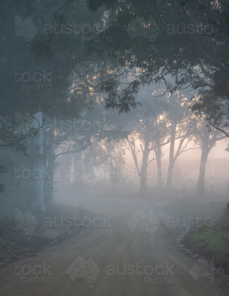 Image of A misty early morning on a country road - Austockphoto