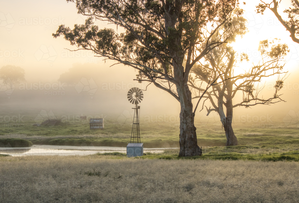 A misty morning and a little windmill - Australian Stock Image