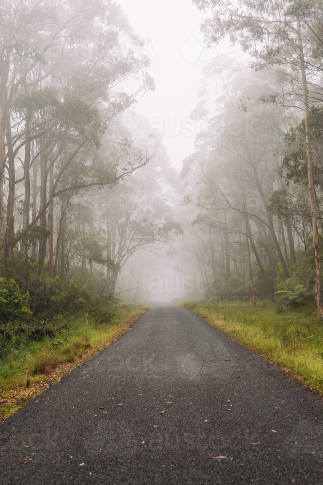 A misty morning and a mountain road - Australian Stock Image