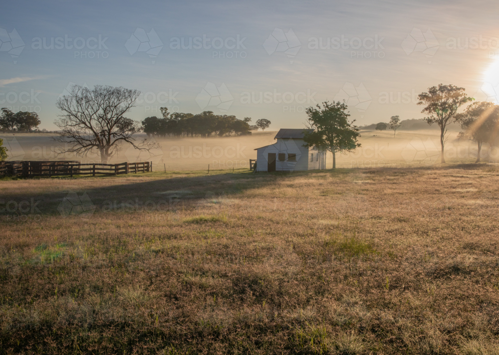 A misty morning in the country with an old barn by a tree - Australian Stock Image