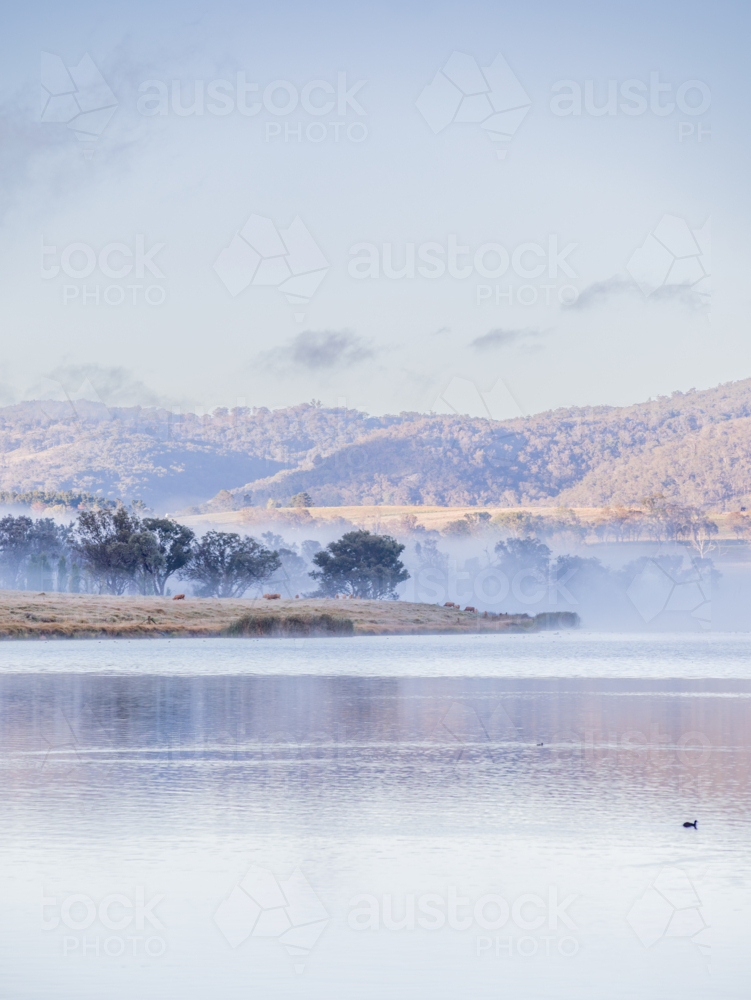 A misty morning on a country dam under pale blue skies - Australian Stock Image