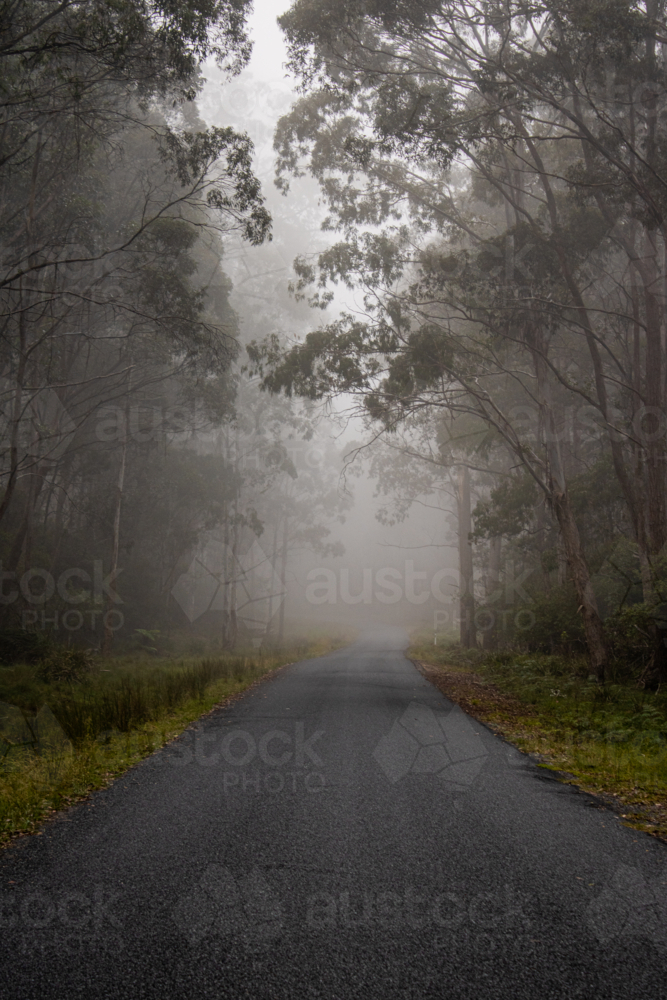 A misty morning on a moody mountain road - Australian Stock Image
