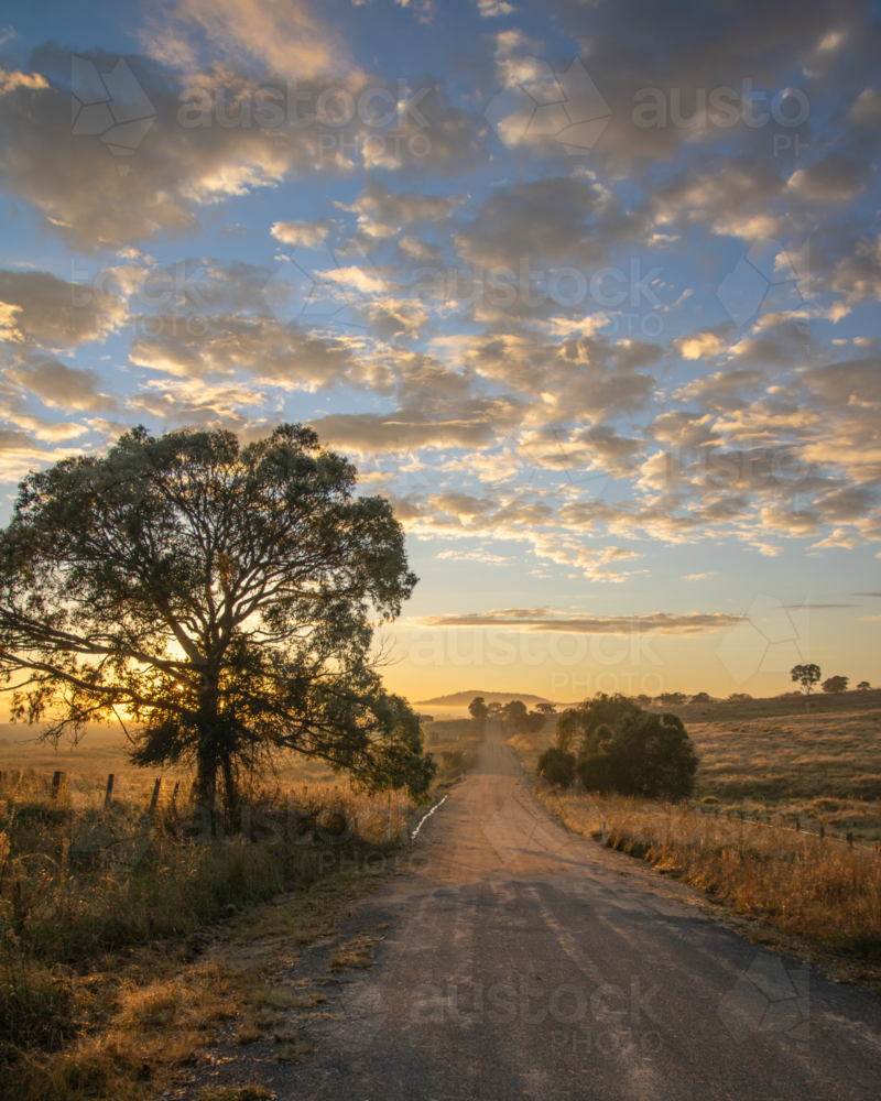 A misty sunrise over a country dirt road through rural paddocks - Australian Stock Image