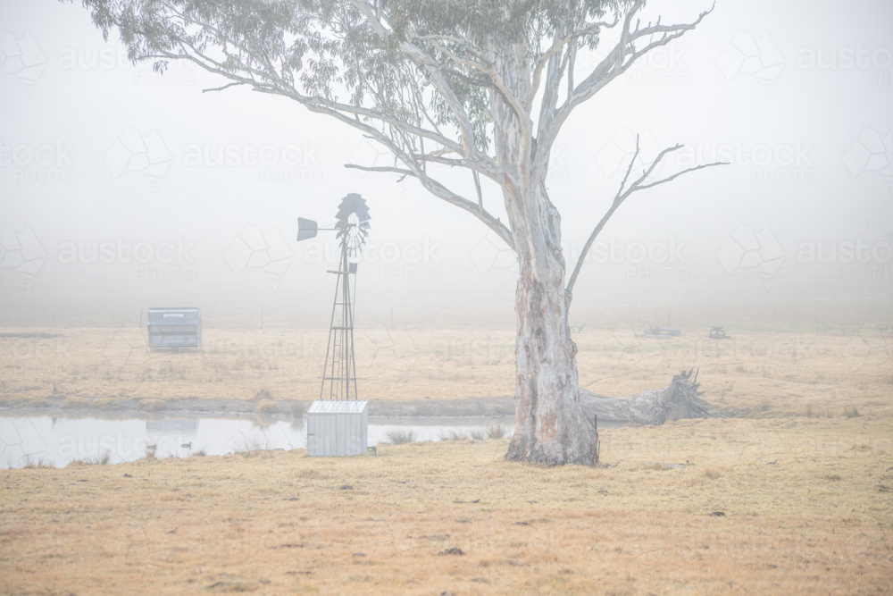 A misty winter morning and a windmill - Australian Stock Image