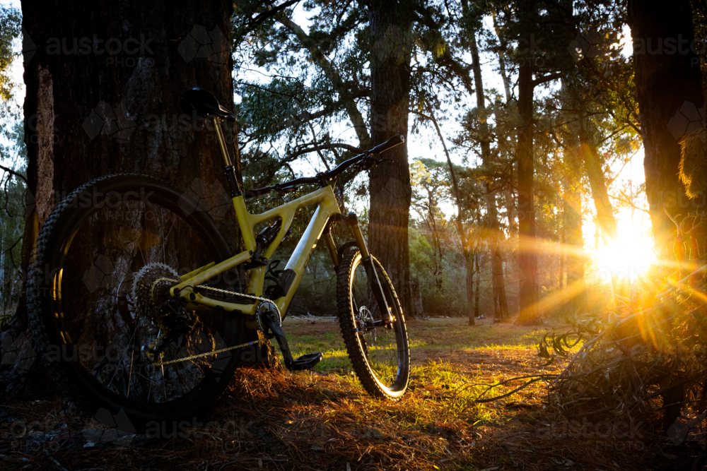 A modern dual suspension mountain bike on an Australian bike trail - Australian Stock Image