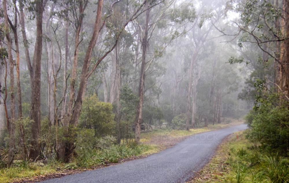 A mountain road on a misty morning - Australian Stock Image