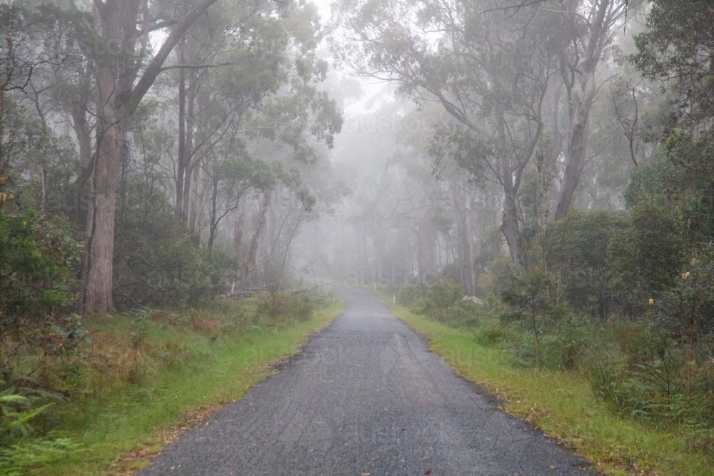 A mountain road on a misty morning - Australian Stock Image