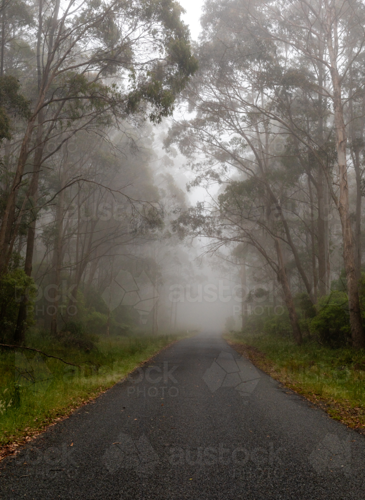 A mountain road on a misty morning - Australian Stock Image