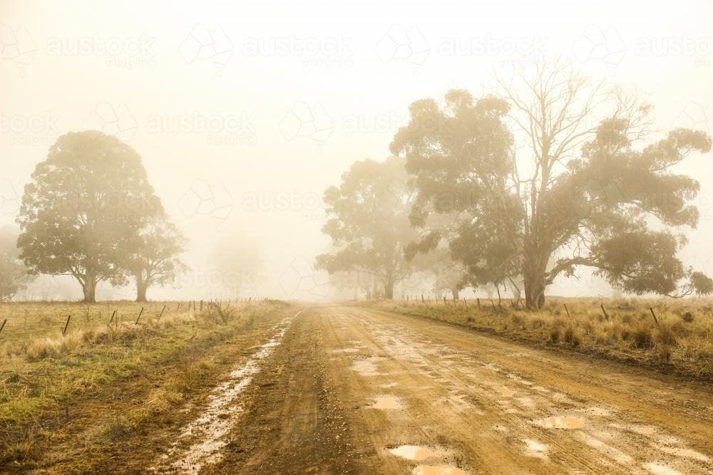A muddy dirt road with trees fading into the mist - Australian Stock Image