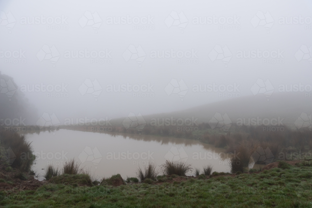 A natural water source in a misty rural setting - Australian Stock Image