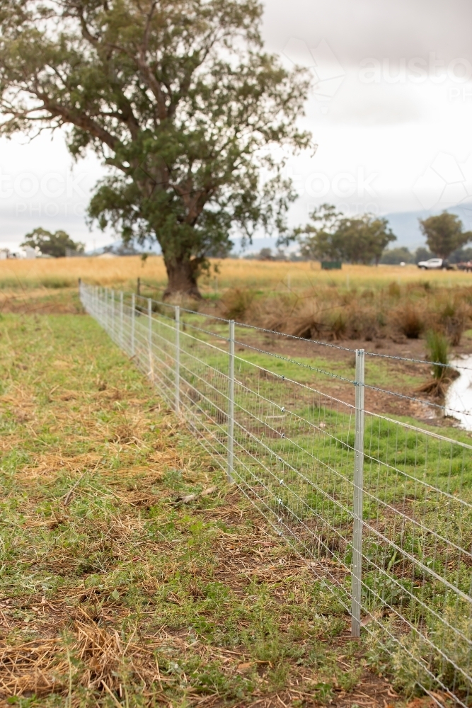 A new fence along a creek - Australian Stock Image