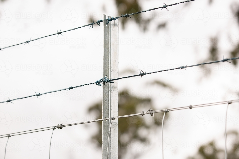 A new fenceline - Australian Stock Image