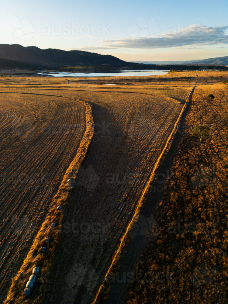A paddock with lines of thick grass highlighted through the scene. - Australian Stock Image