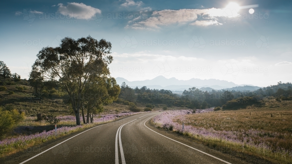 A paved road leading towards the Flinders Ranges - Australian Stock Image