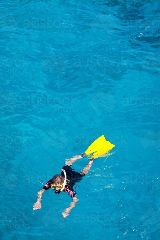 A person snorkeling in the sea at the Great Barrier Reef - Australian Stock Image
