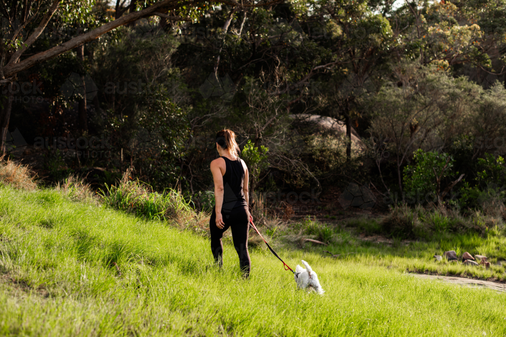 A person strolls with a small dog on a green path under soft afternoon sunlight - Australian Stock Image