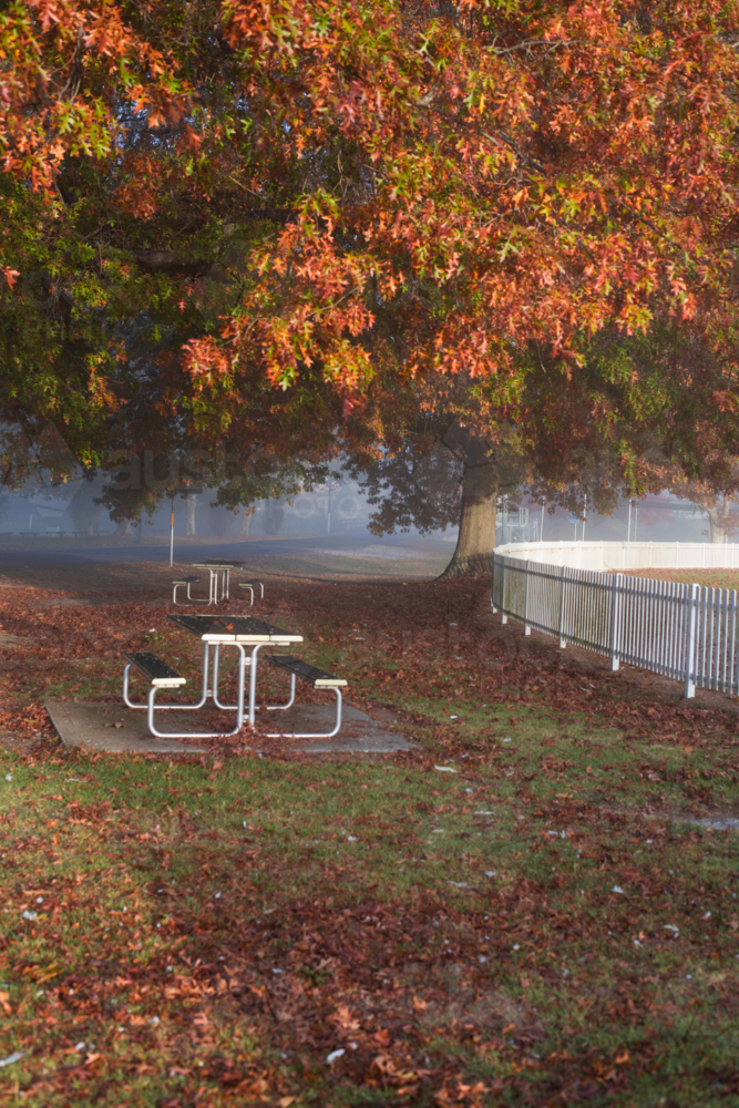 A picnic table by a white picket fence under autumn leaves on a misty morning - Australian Stock Image