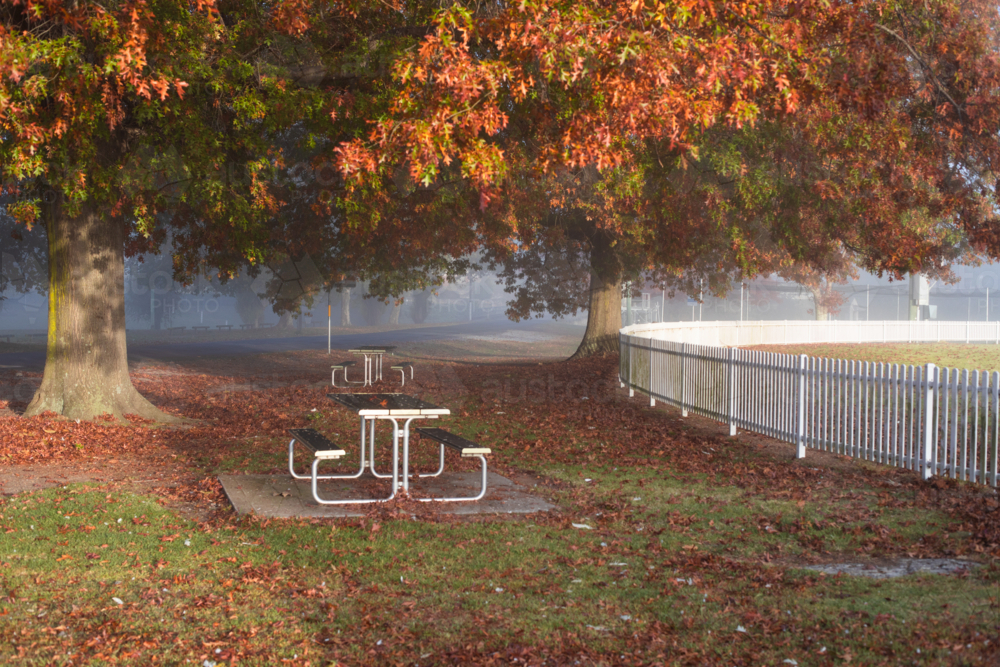 A picnic table by a white picket fence under autumn leaves on a misty morning - Australian Stock Image