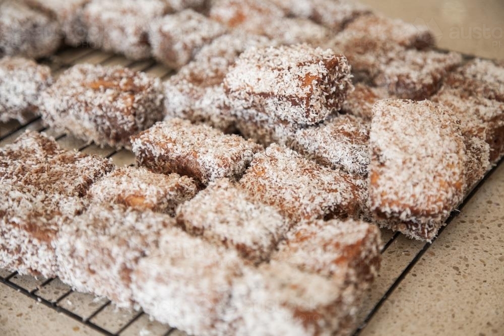 A pile of fresh lamingtons on rack in the kitchen - Australian Stock Image