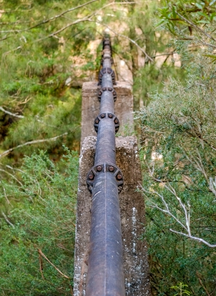 a pipe that runs through a forest - Australian Stock Image