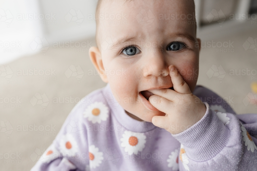 A portrait of a one year old girl with her hand in her mouth - Australian Stock Image