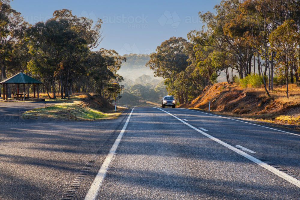 A quiet country road stretches through the Australian countryside, flanked by towering eucalyptus - Australian Stock Image