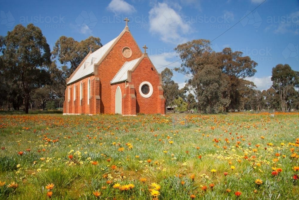 A red brick church sits in a yard full of wild flowers - Australian Stock Image