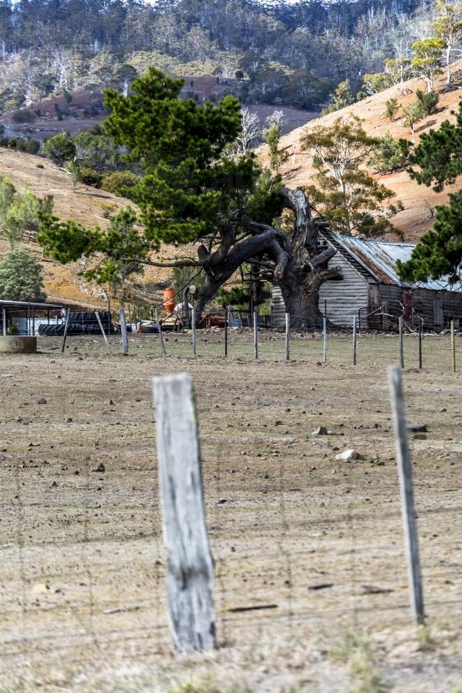 A rickety wire fence and a dilapidated wooden farm shed in drought - Australian Stock Image