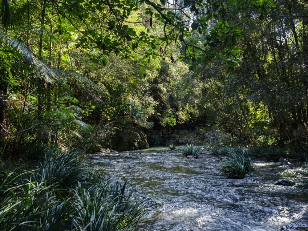 A river filled with rocks and boulders creating small rapids and flows through the forest - Australian Stock Image