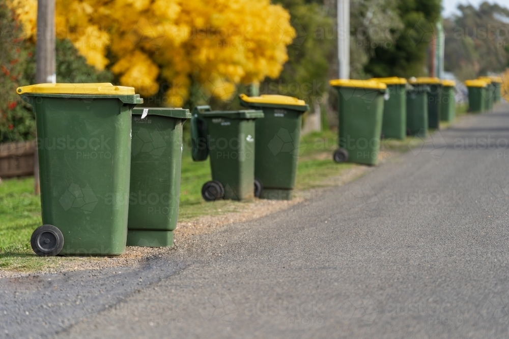 Image of A row of wheelie bins along the side of a bitumen road
