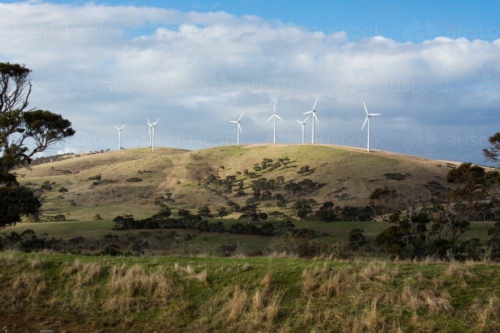 A row of wind turbines on a grassy hill amongst paddocks. - Australian Stock Image